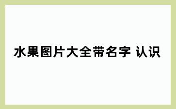 水果图片大全带名字 认识